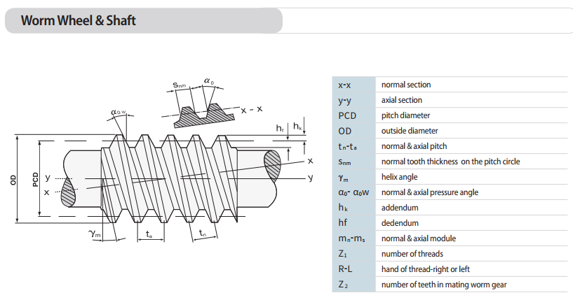 worm wheel and shaft.png